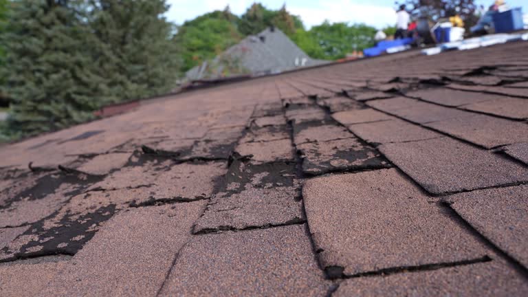 Best Slate Roofing  in Spencerville, OH